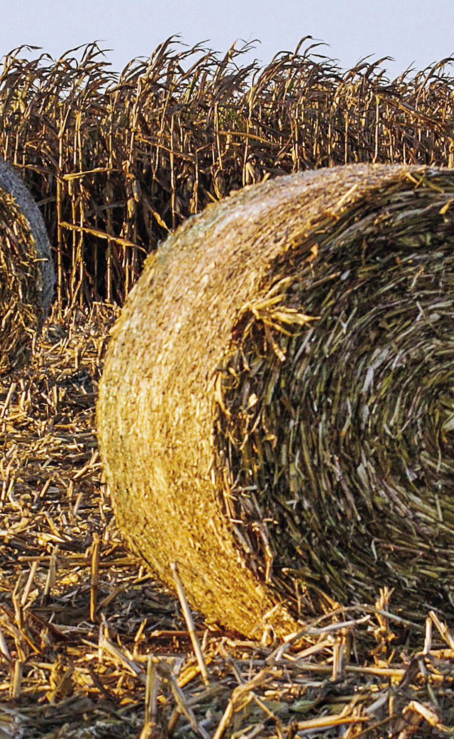 Hay Show entries due Friday Fredericksburg Standard