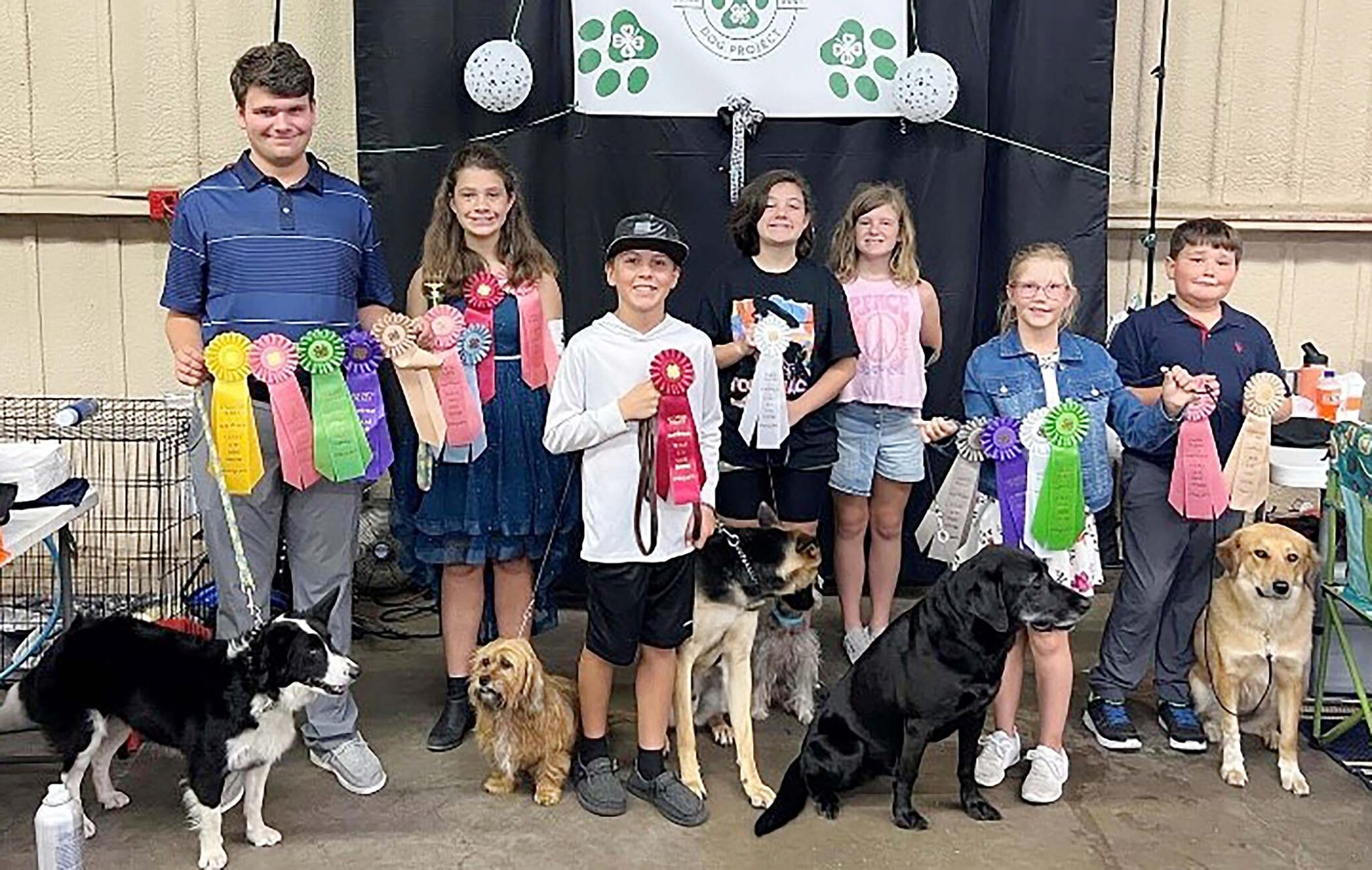 4Hers take awards at state dog show Fredericksburg Standard