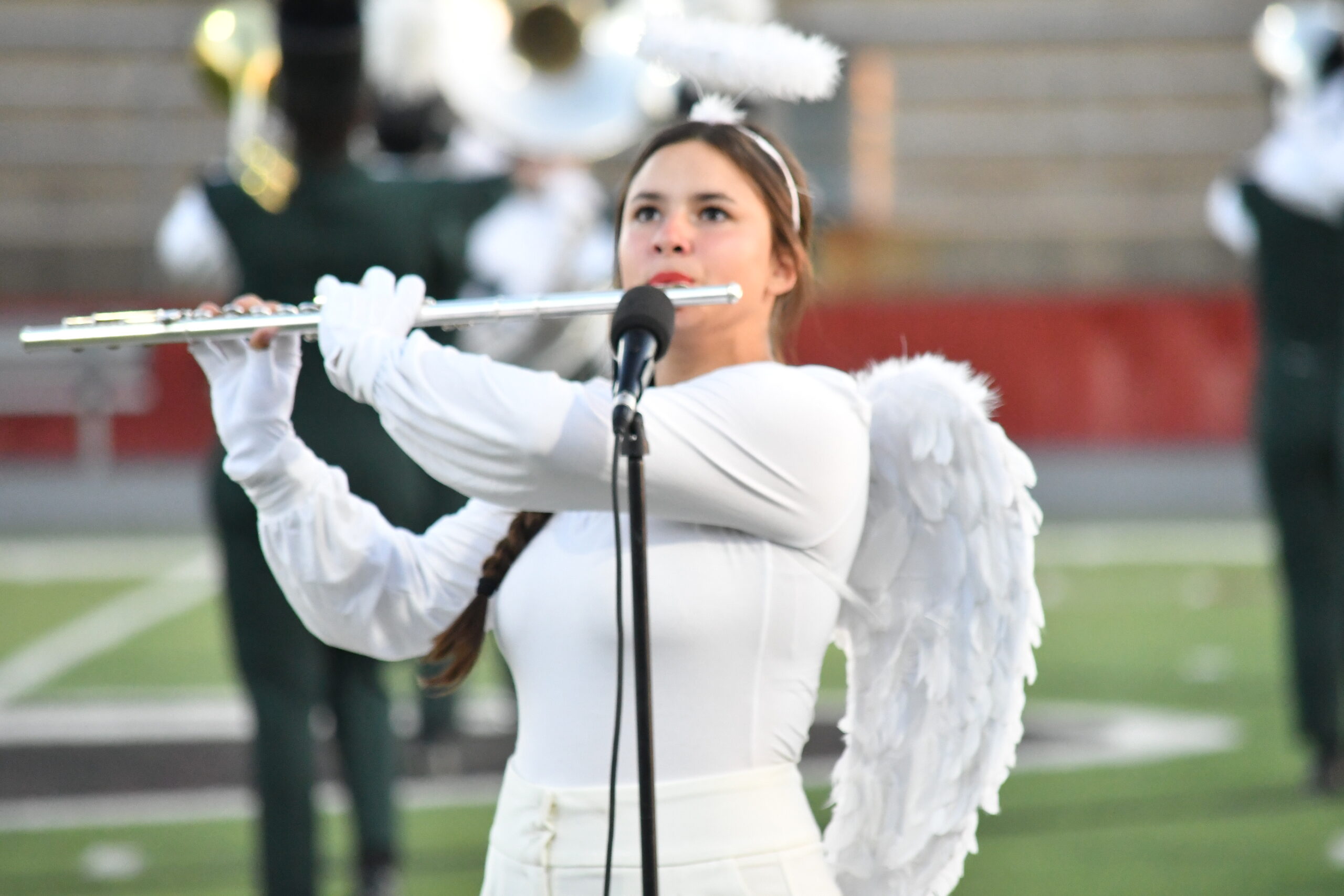 Harper band places sixth in area competition Fredericksburg Standard