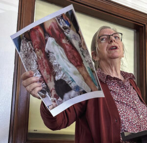 County joins BESS facility suit