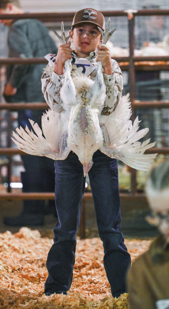Ayden Dreyer hoisted his turkey in the air to be judged at the youth livestock show on Thursday.